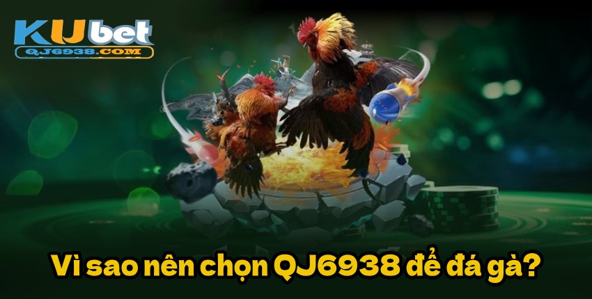 Vì sao nên chọn QJ6938 để đá gà?