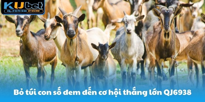 Giành chiến thắng bỏ túi mang đến cơ hội chiến thắng lớn tại QJ6938