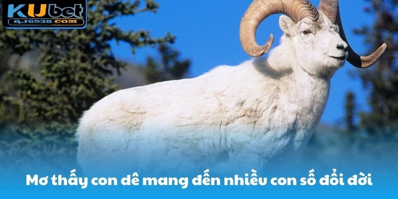 Mơ thấy con dê đến nhiều con số đổi đời