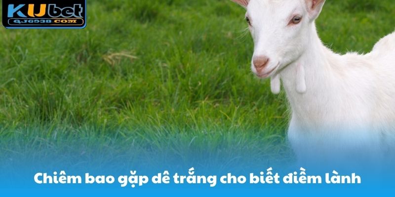 Chiêm bao gặp dê trắng cho biết hiện lành