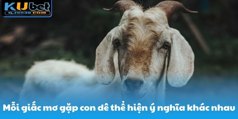 Mỗi giấc mơ có thể hiện ra những ý nghĩa khác nhau
