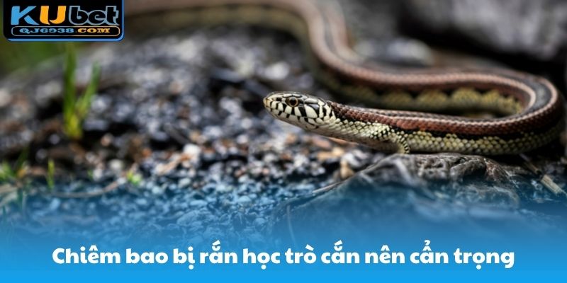 Chiêm bao bị rắn học trò cắn nên cẩn trọng
