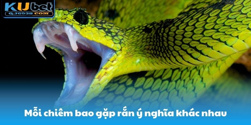 Mỗi chiêm bao gặp rắn ý nghĩa khác nhau