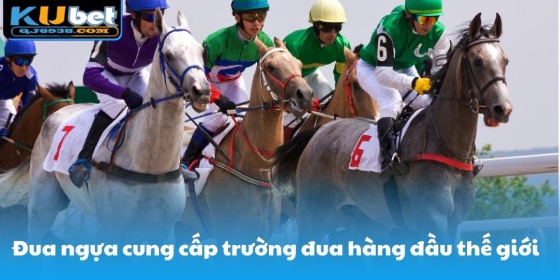 Đua ngựa cung cấp hàng loạt trường đua hàng đầu thế giới