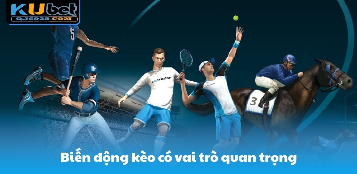 Biến động kèo có vai trò quan trọng